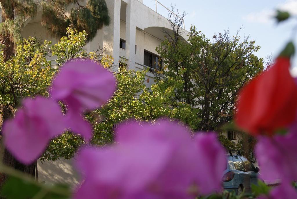Thalassa Studios ฟาลิรากี ภายนอก รูปภาพ