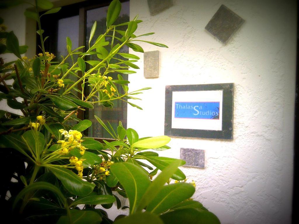 Thalassa Studios ฟาลิรากี ภายนอก รูปภาพ